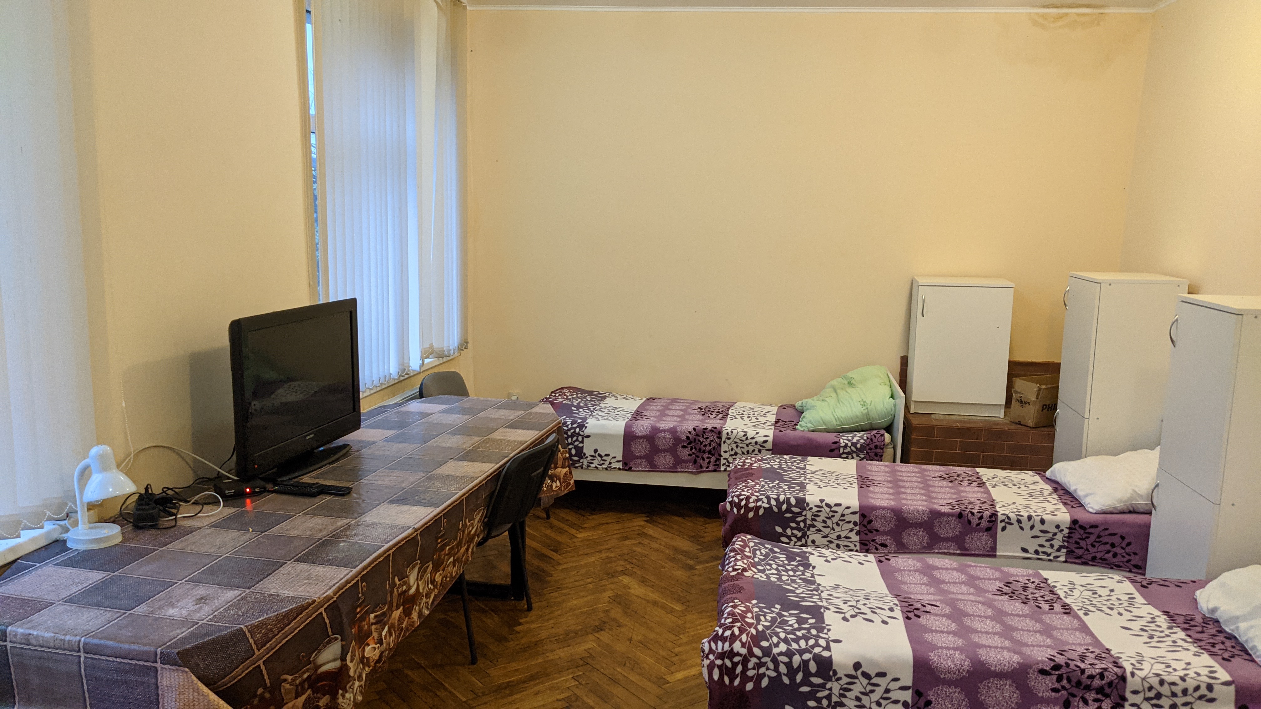 Фото Балтийский лес