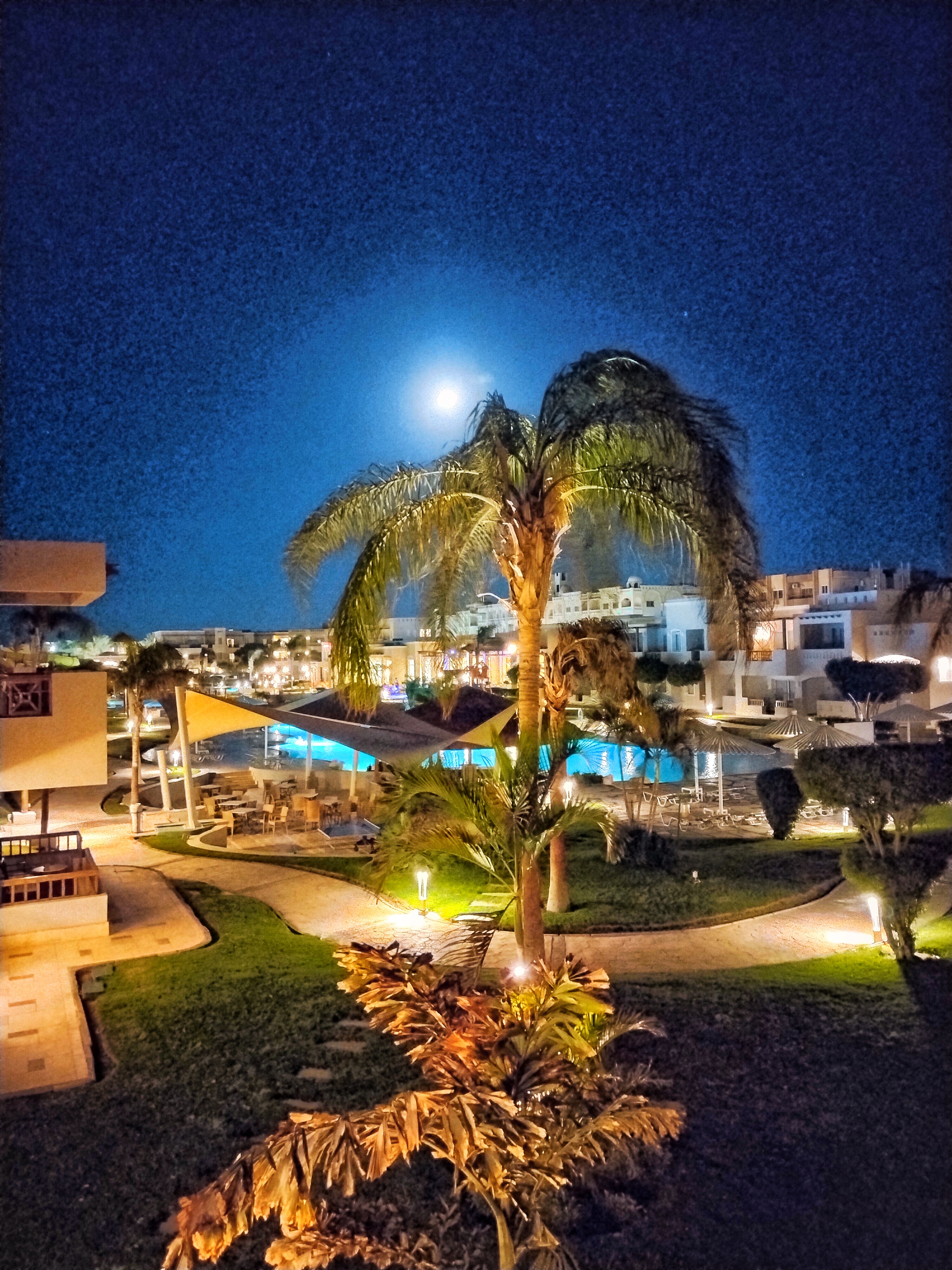 Фото Jaz Casa Del Mar Beach