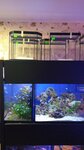 Aquarium + (Krasnoarmeyskaya Street, 41), aquariums