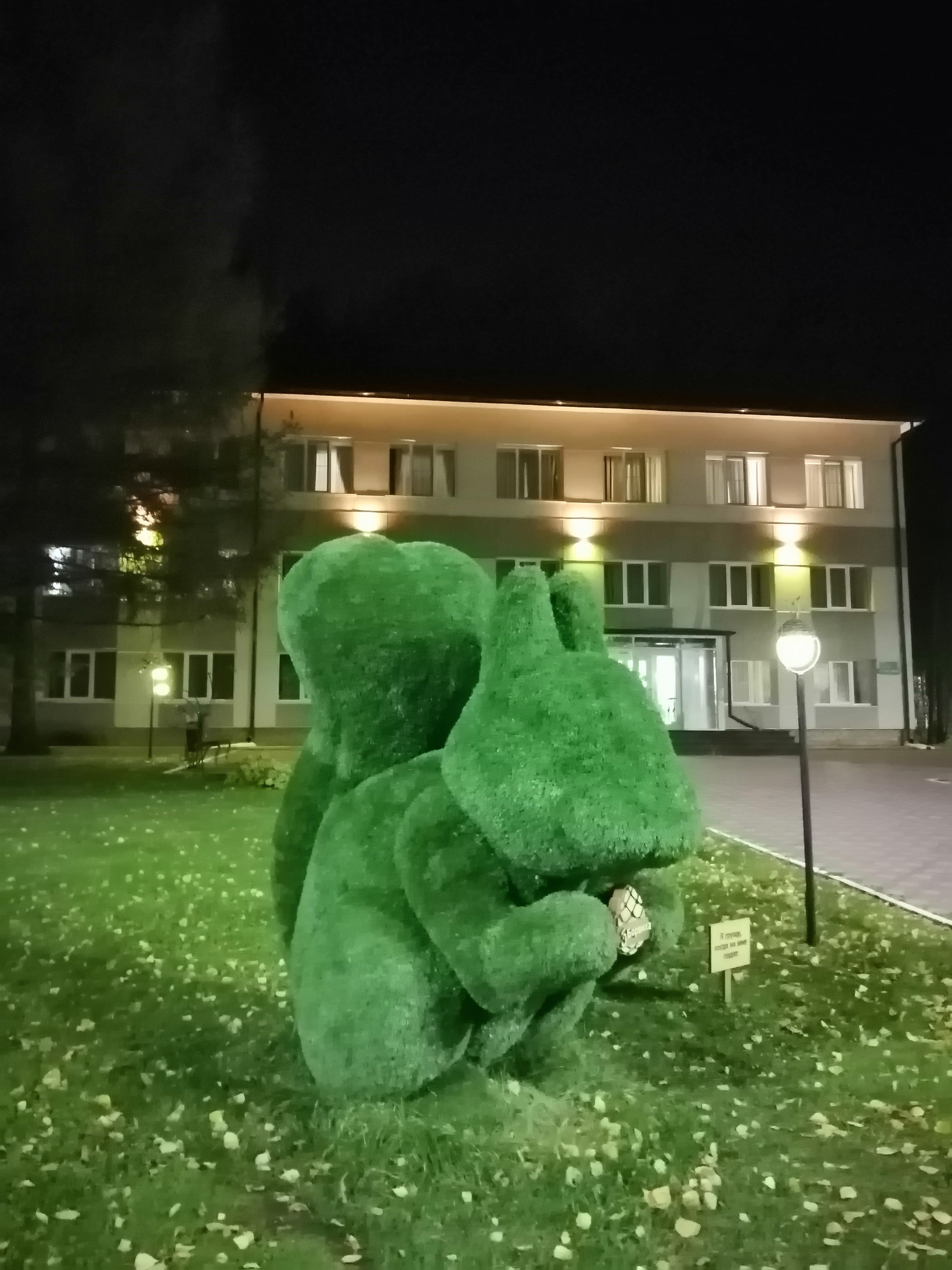 Фото Борвиха