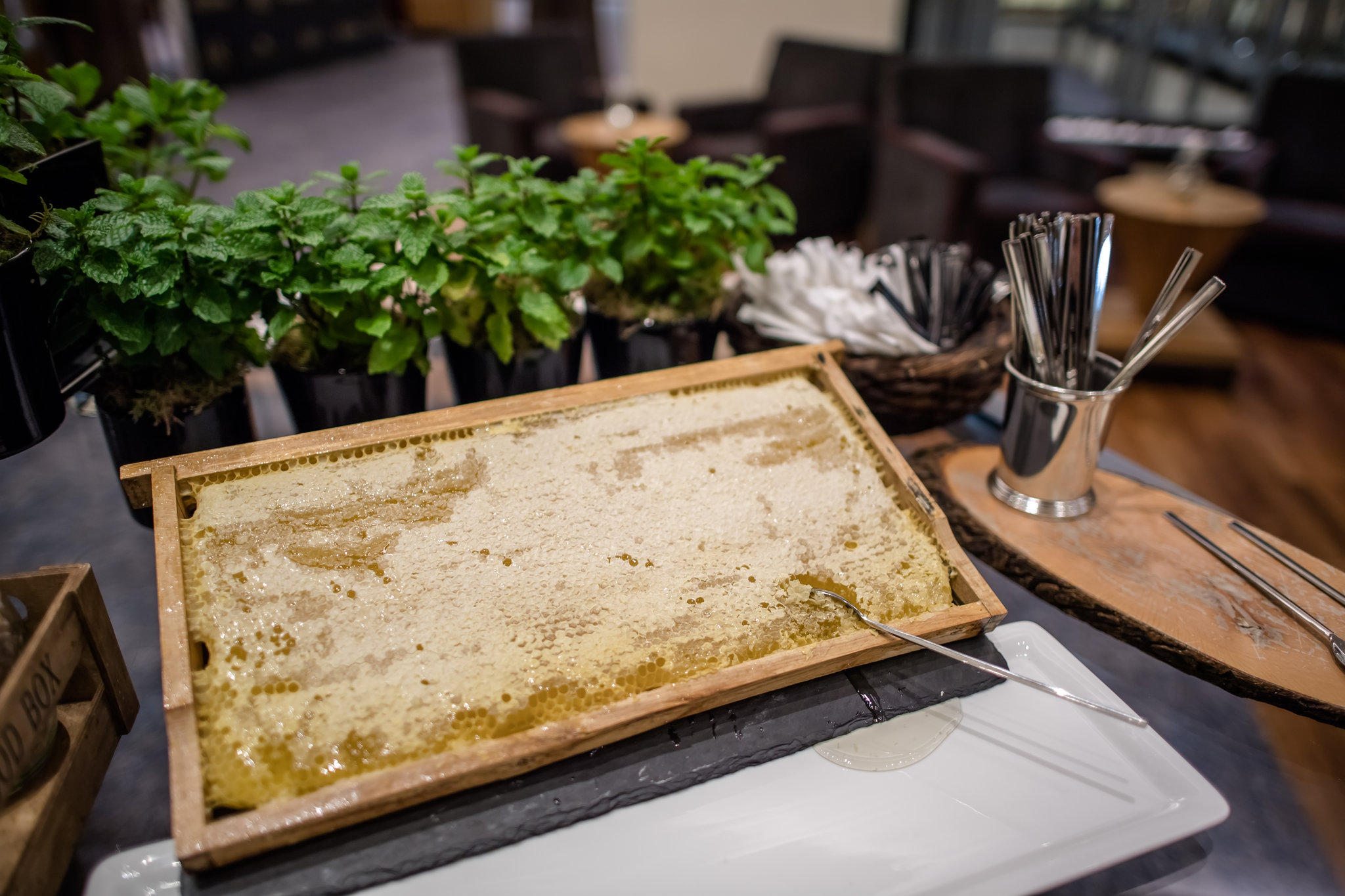 Фото Hotel Kö59