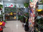 Магазин цветов (Советская ул., 244), магазин цветов в Хвалынске
