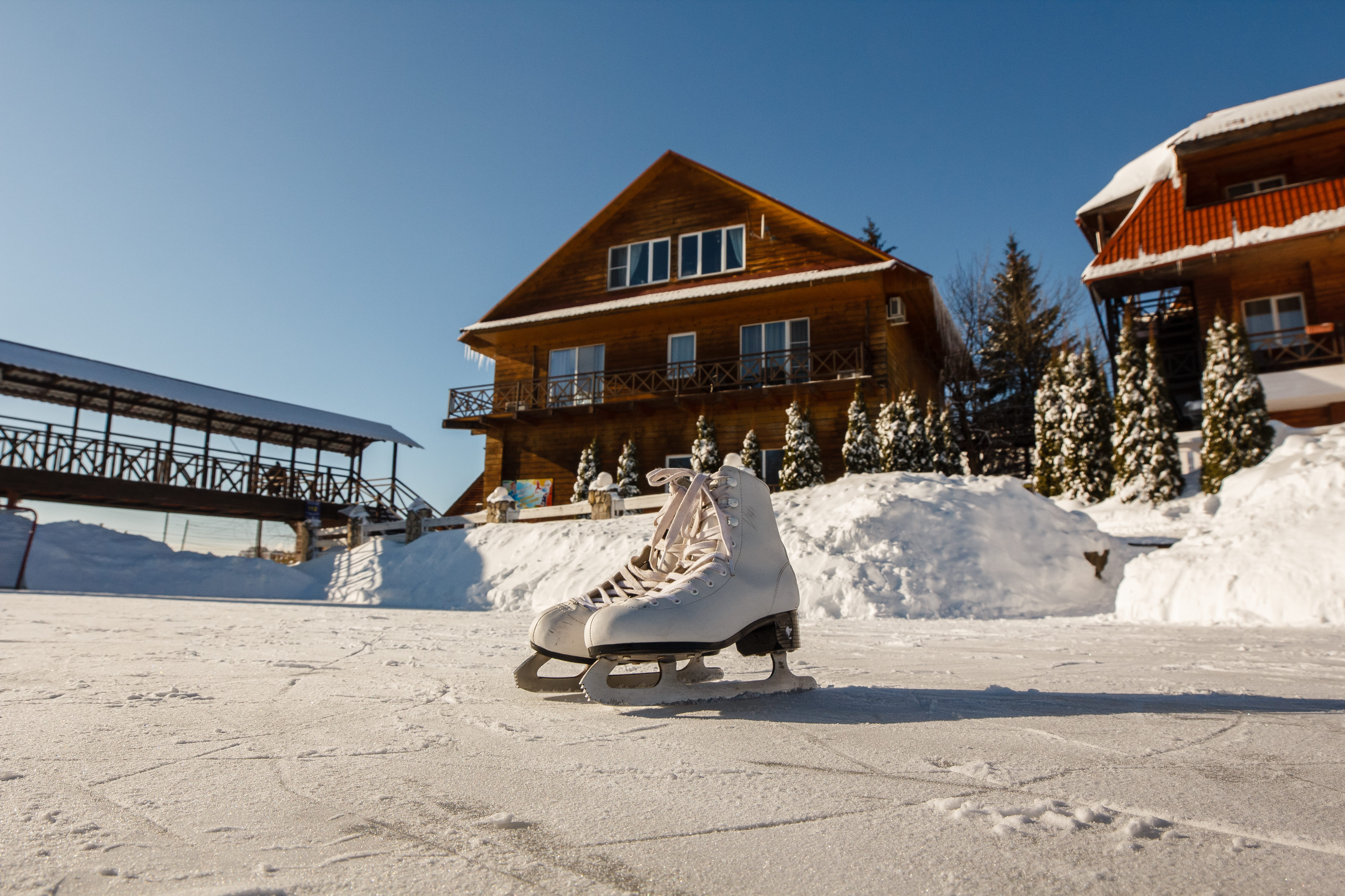 Фото Парк отель Медвежьи озёра