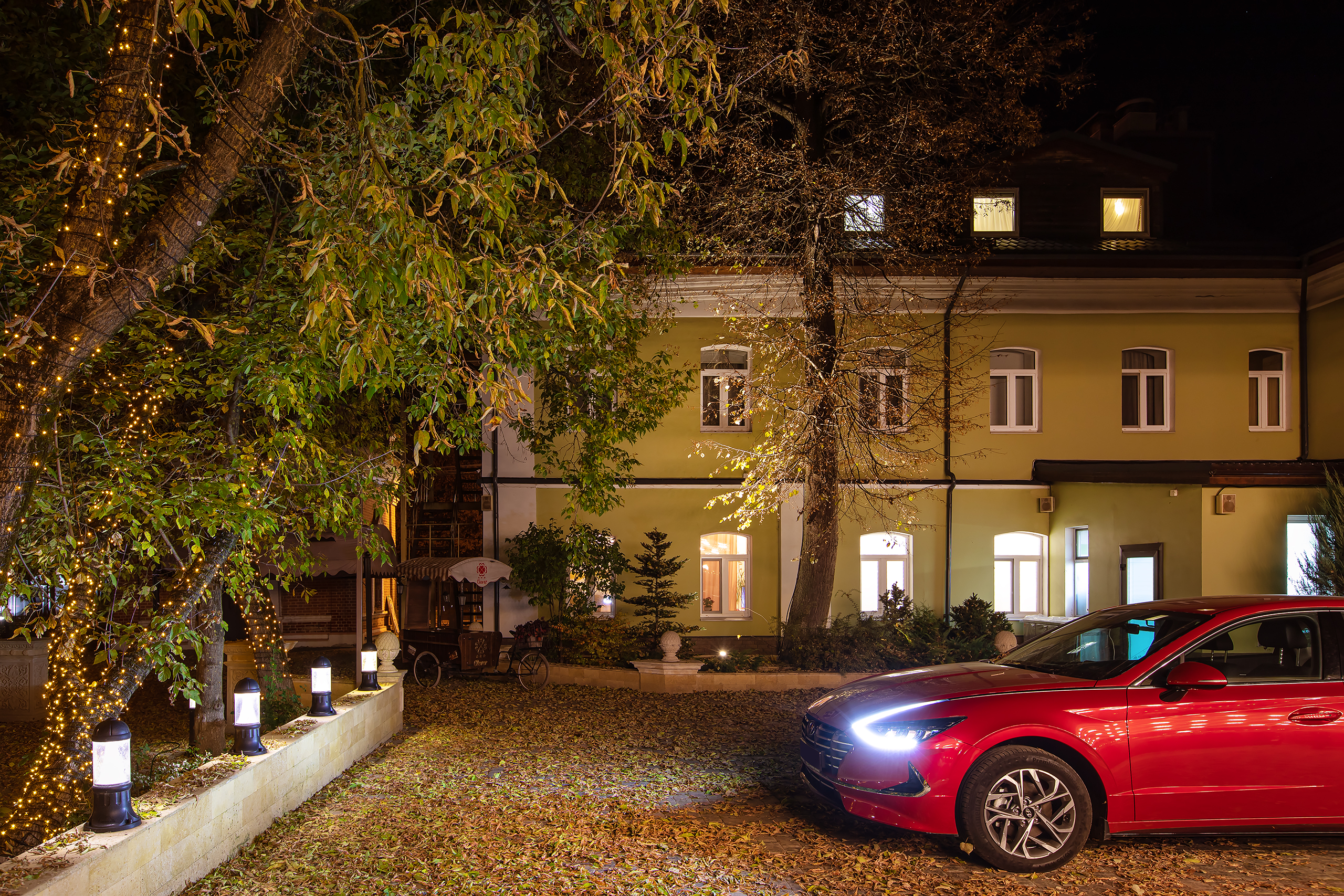 Фото Клевер