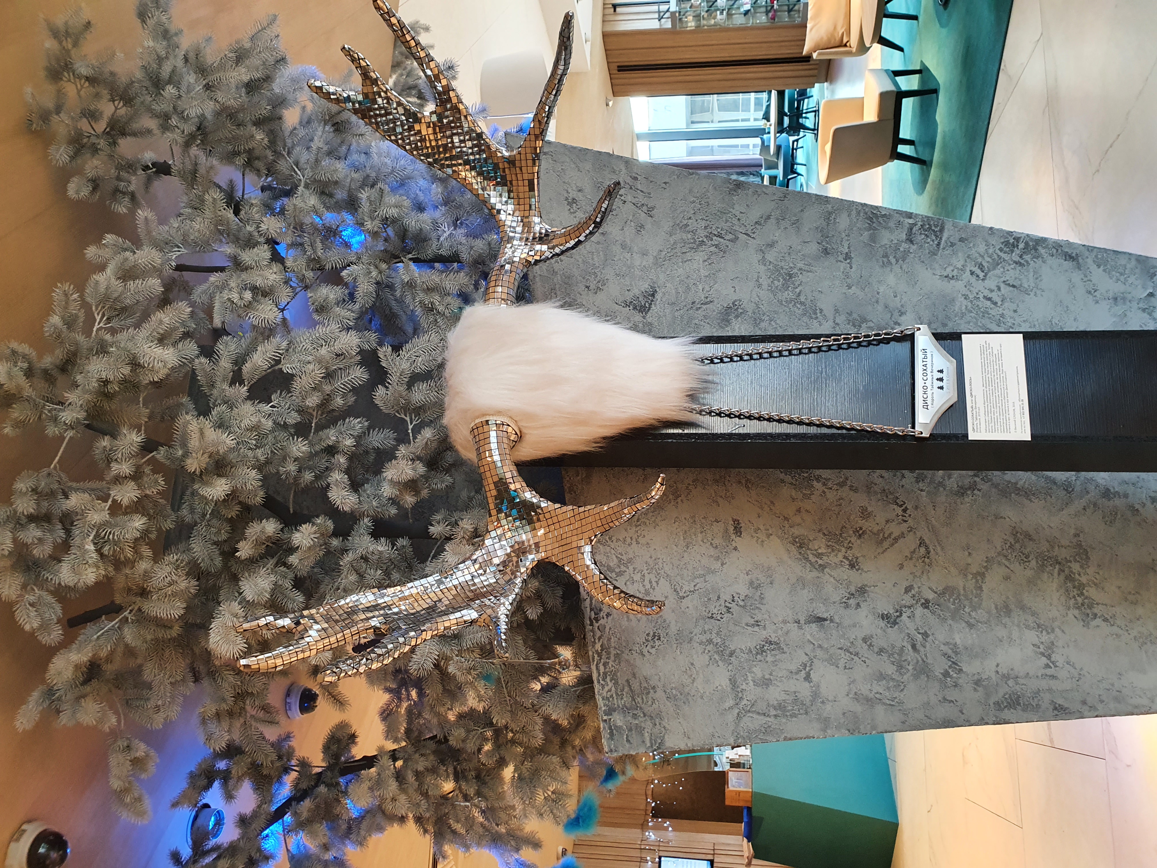 Фото Novotel Красноярск центр