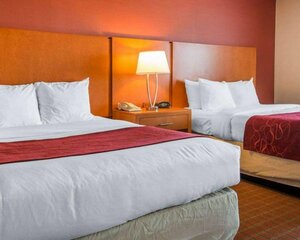 Comfort Suites Auburn Hills-Detroit (Michigan, Oakland County, Auburn Hills), hotel