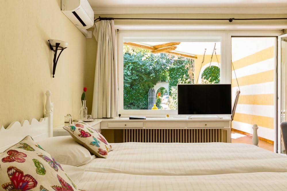 Фото Albergo Losone