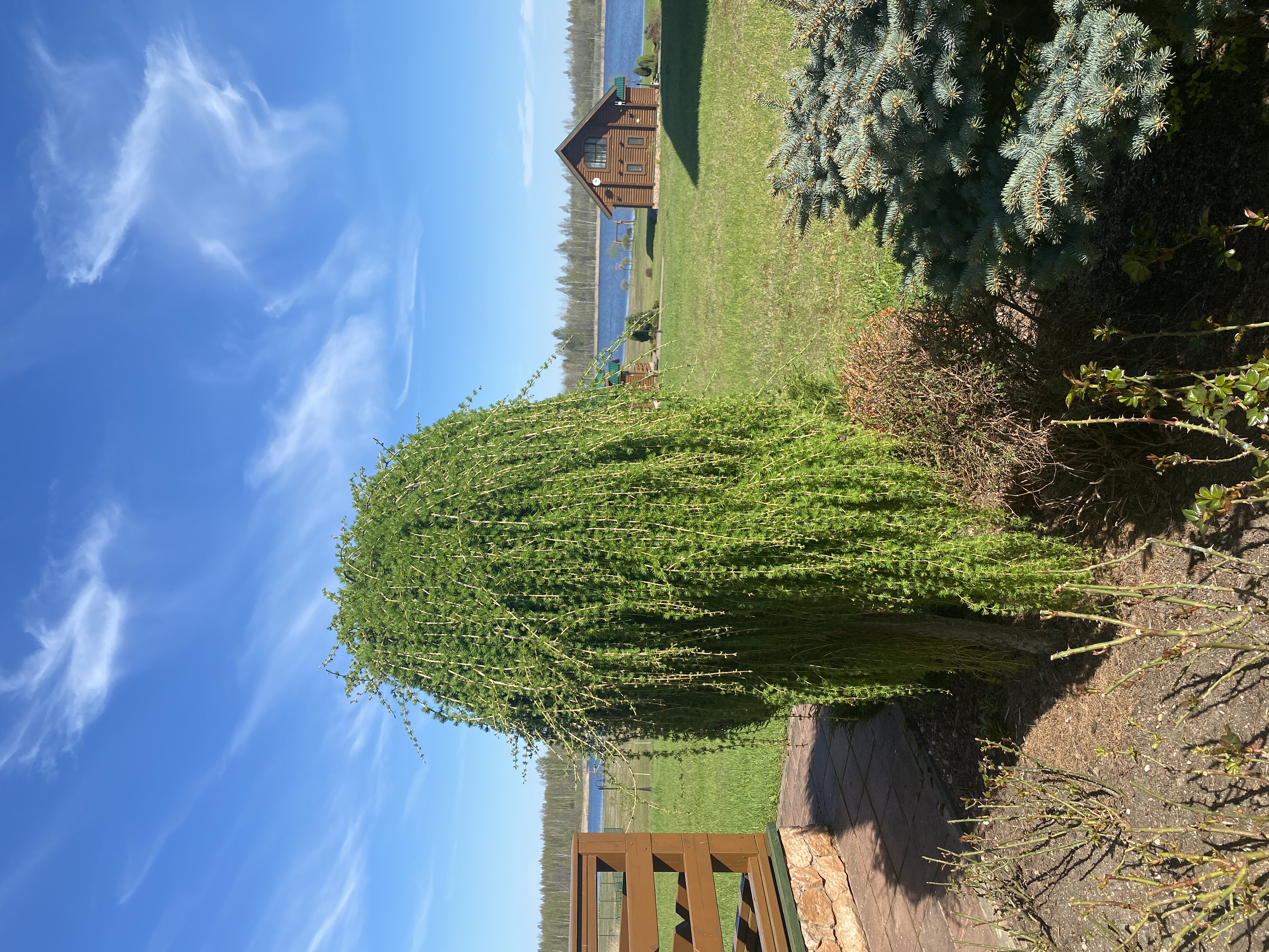 Фото Заозерье