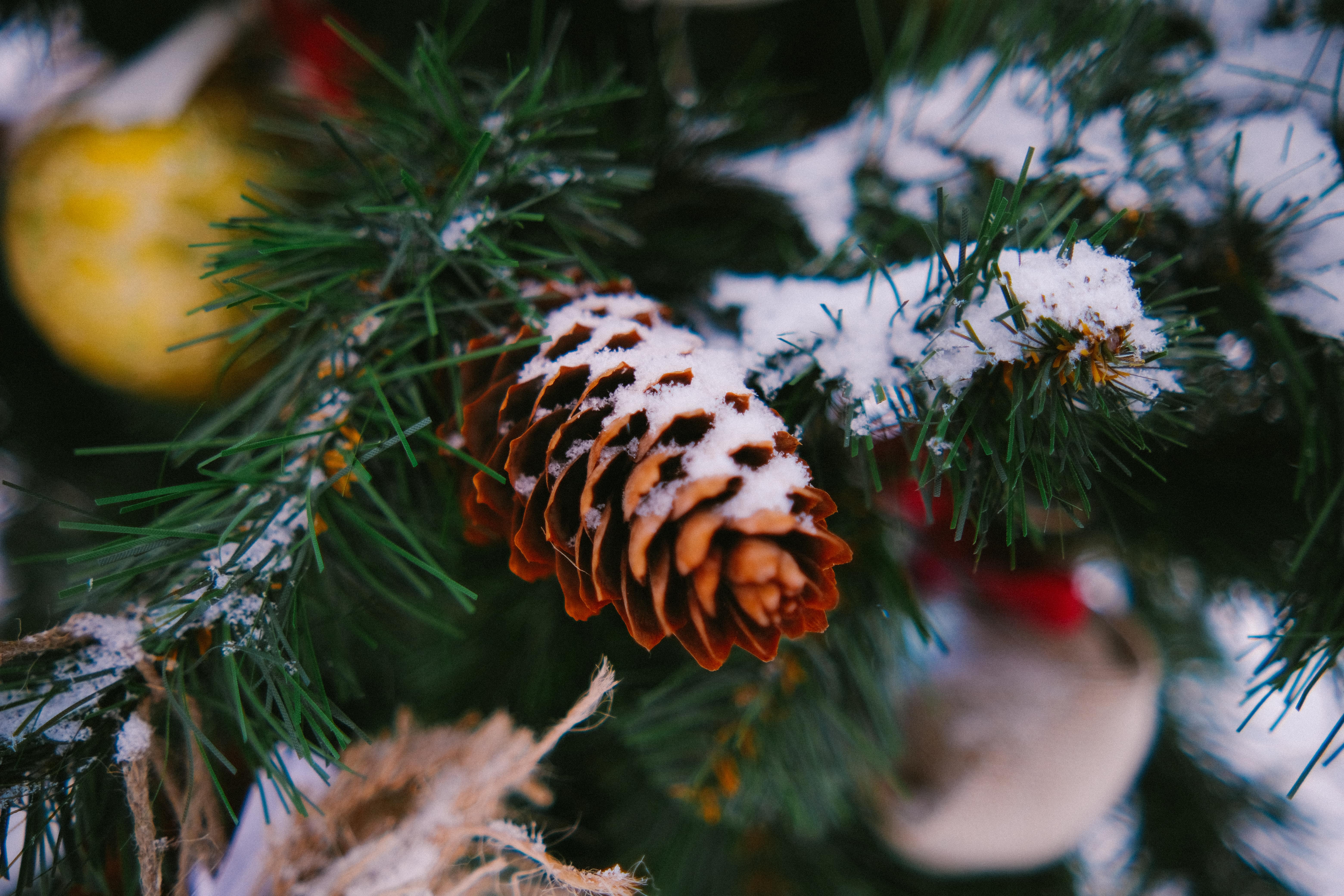 Фото Тихая Заводь