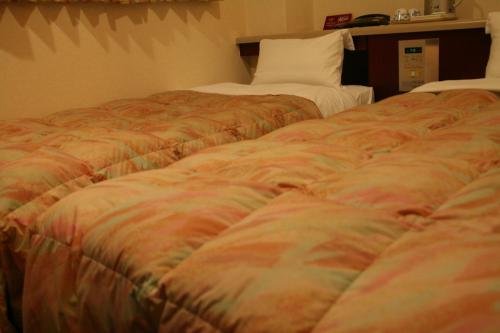 Фото Hotel Ikeda