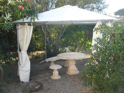 Фото Hotel Garden