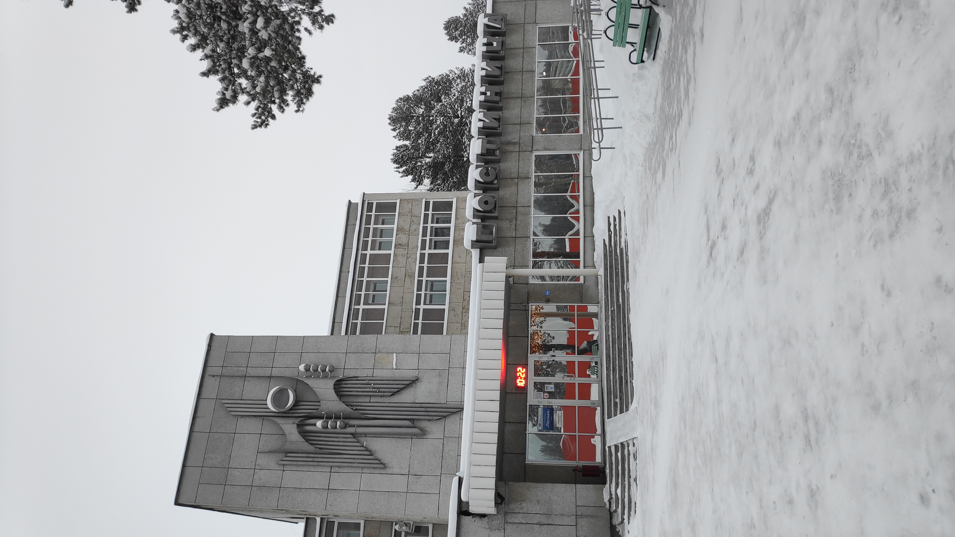 Фото Лесная