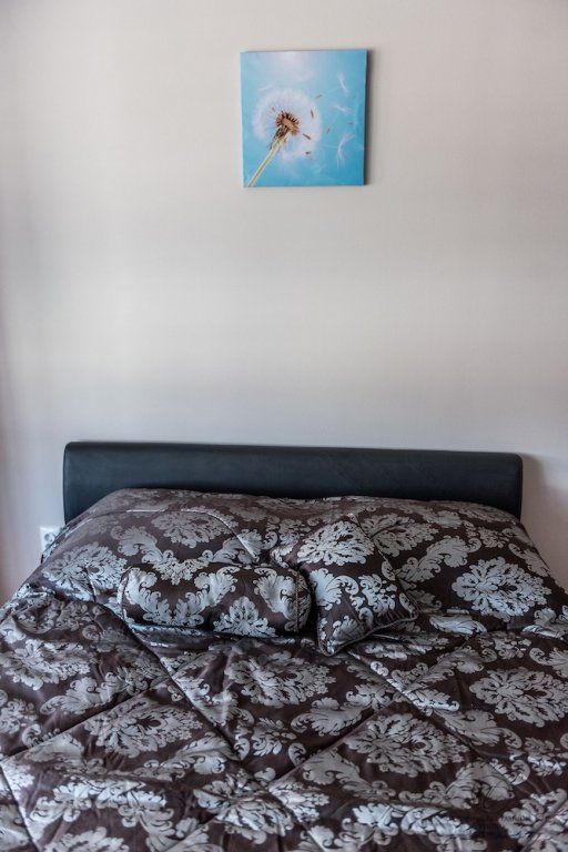 Фото Suite Donna