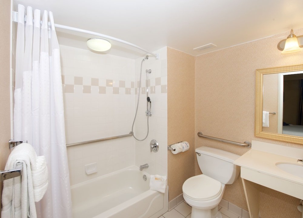 Фото Holiday Inn & Suites Chicago - Downtown