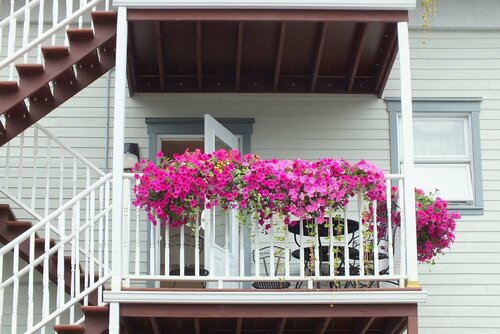 Хостел Auberge de l'Evêché в Римуски