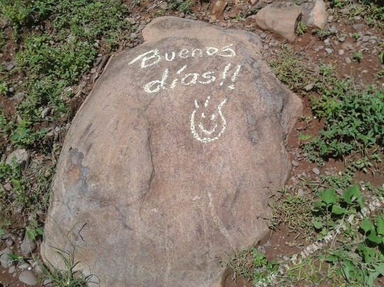 Фото Hotel Guanacaste