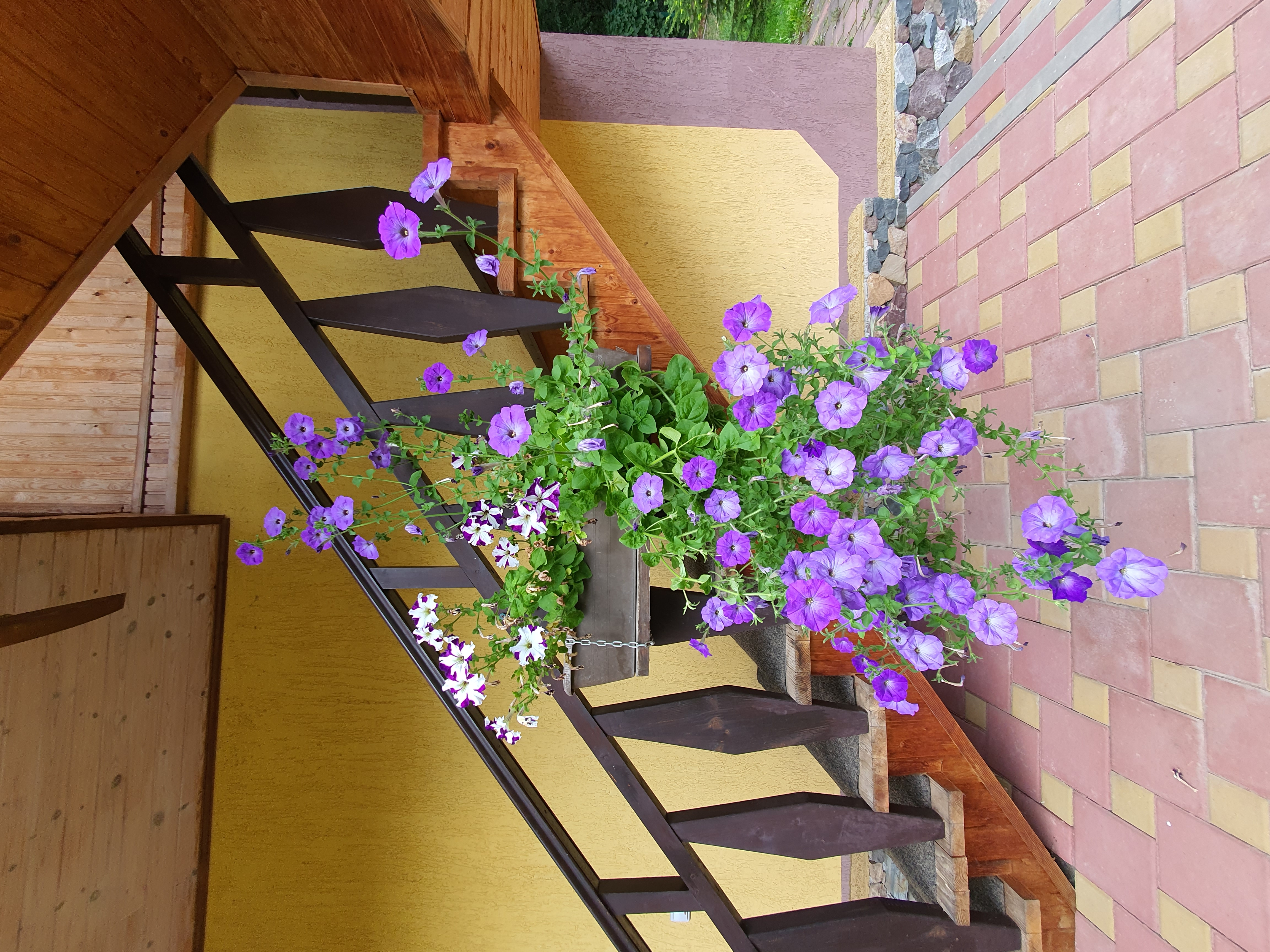 Фото Китайская деревня