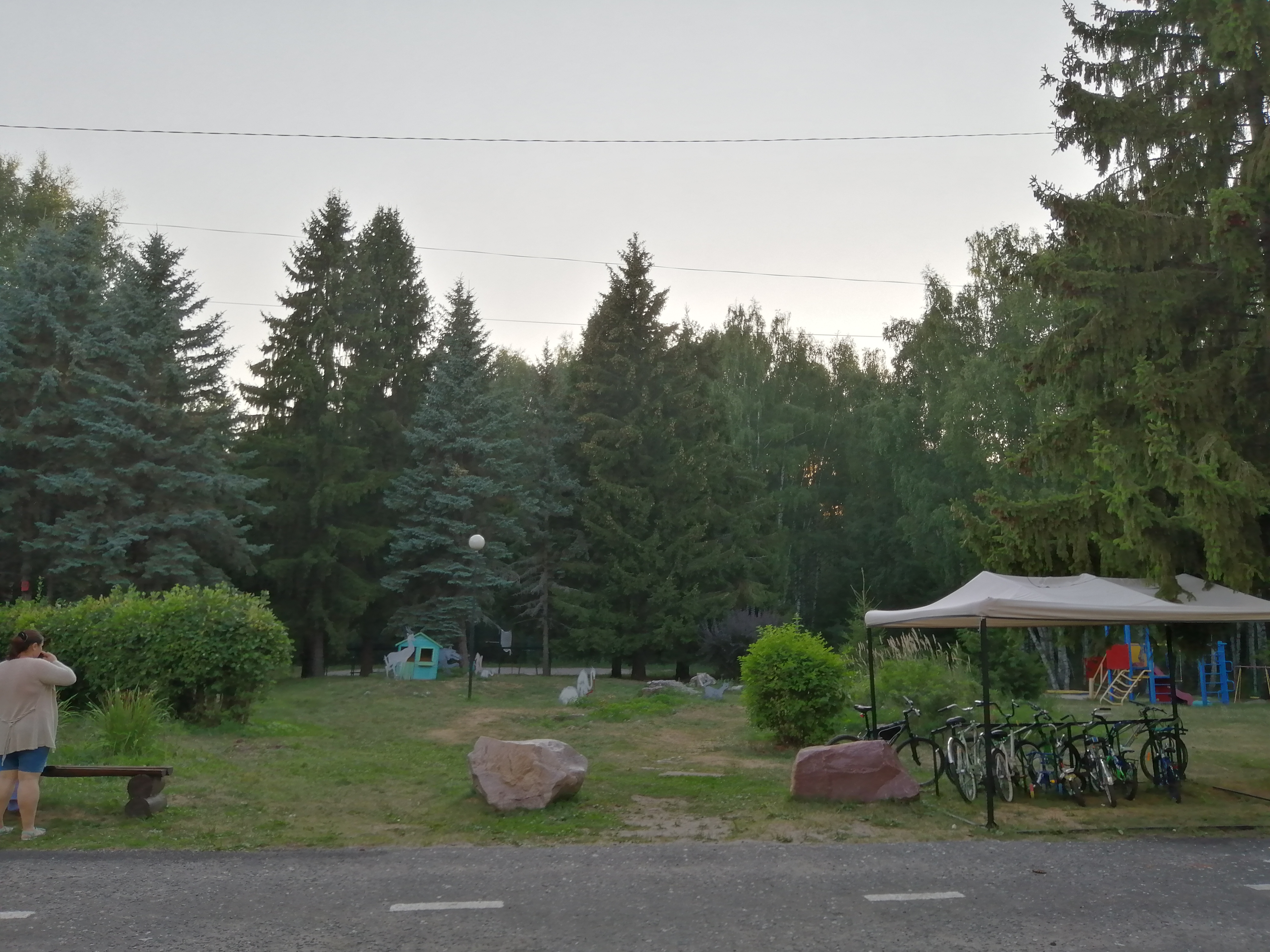 Фото Буревестник