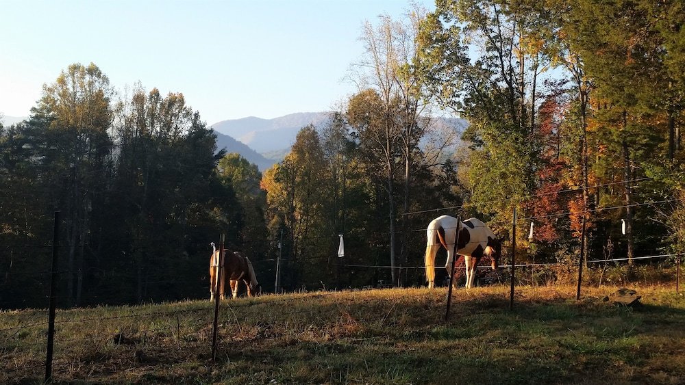 Фото Cypress Ridge