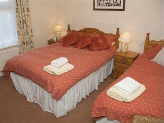 Фото Harlequin Guest House