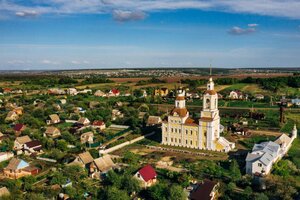 Николо-Богоявленский храм (Прудная ул., 65, село Богоявленка), православный храм в Воронежской области