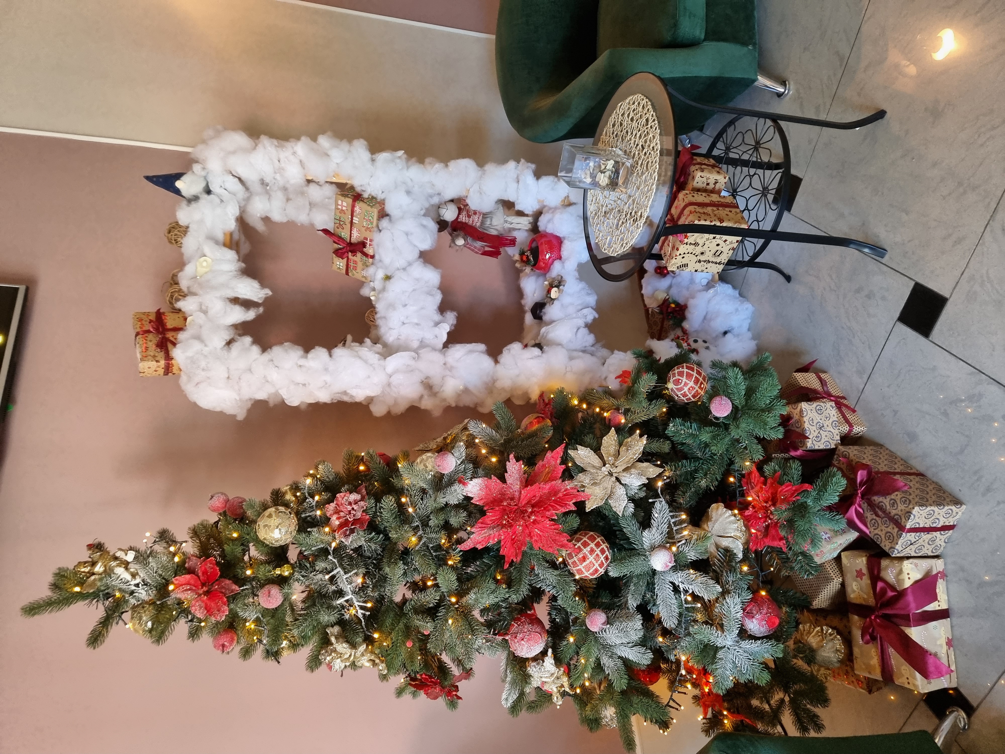 Фото Диоскурия