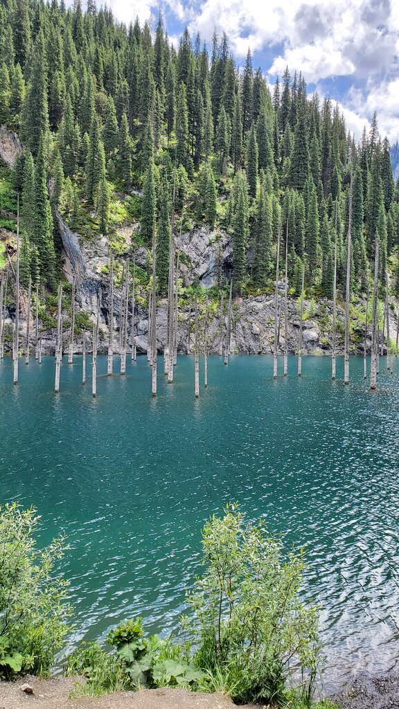 Кайынды осенью Кыргызстан