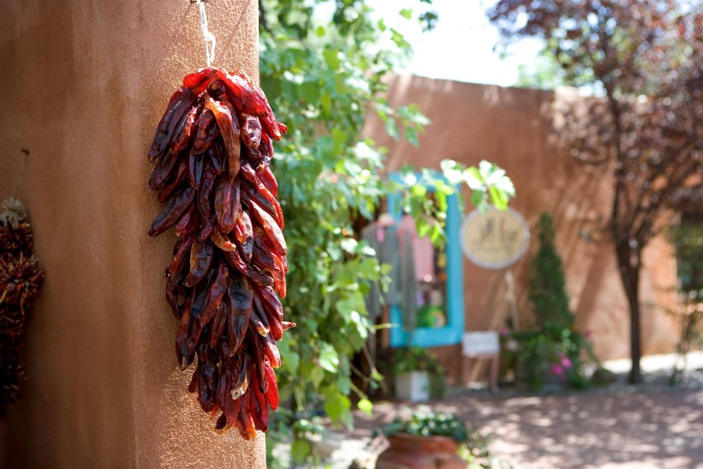 Фото Sheraton Albuquerque Airport Hotel
