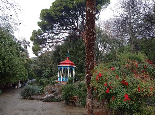 Лесопарк Никитский ботанический сад Лаборатория ландшафтной архитектуры, Ялта, фото