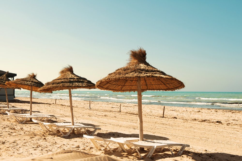 Фото Cesar Thalasso