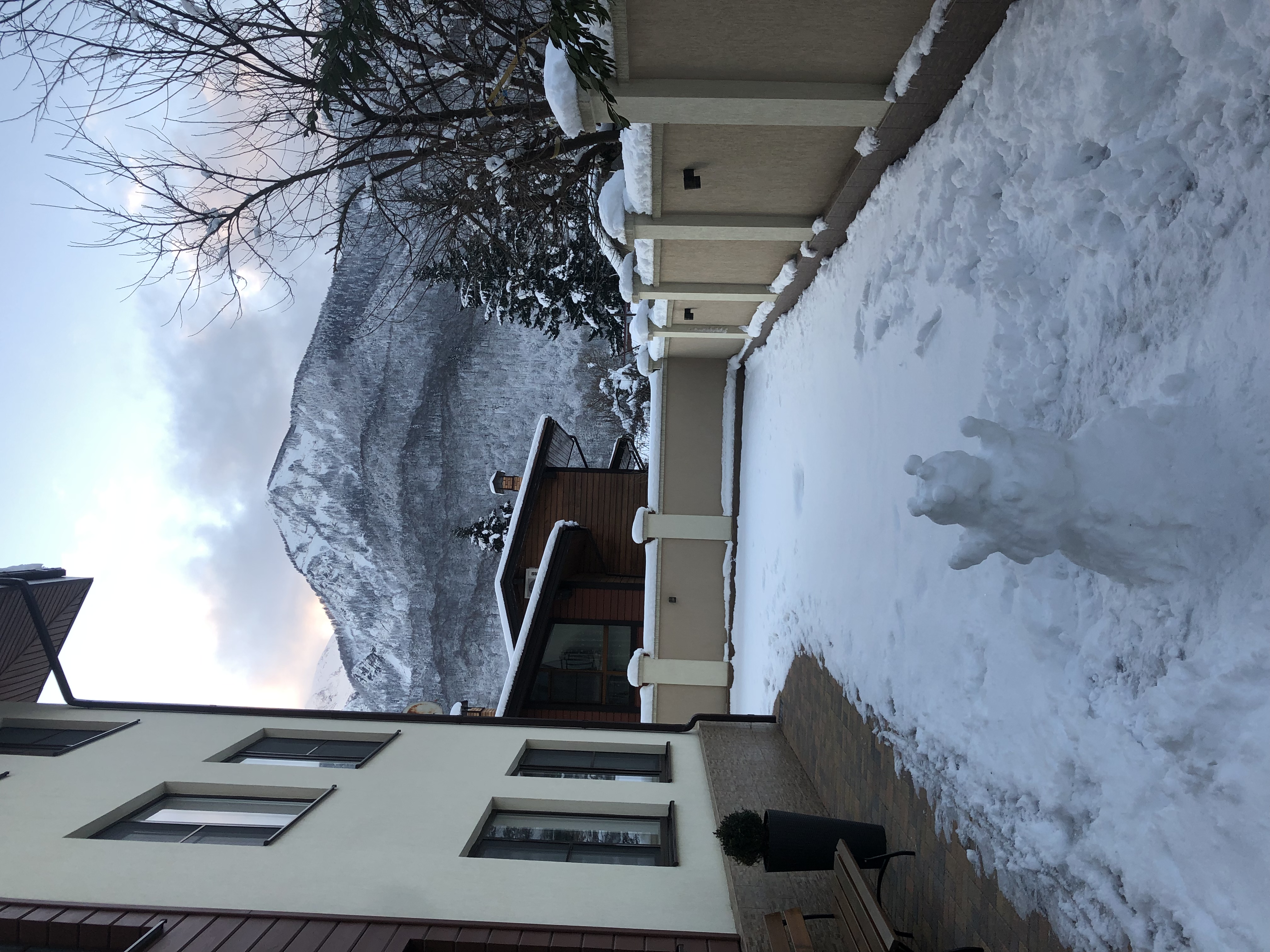 Фото Альба ИНН Апартментс