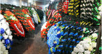 Favorit (Shishkino Village, 50), accesorios rituales