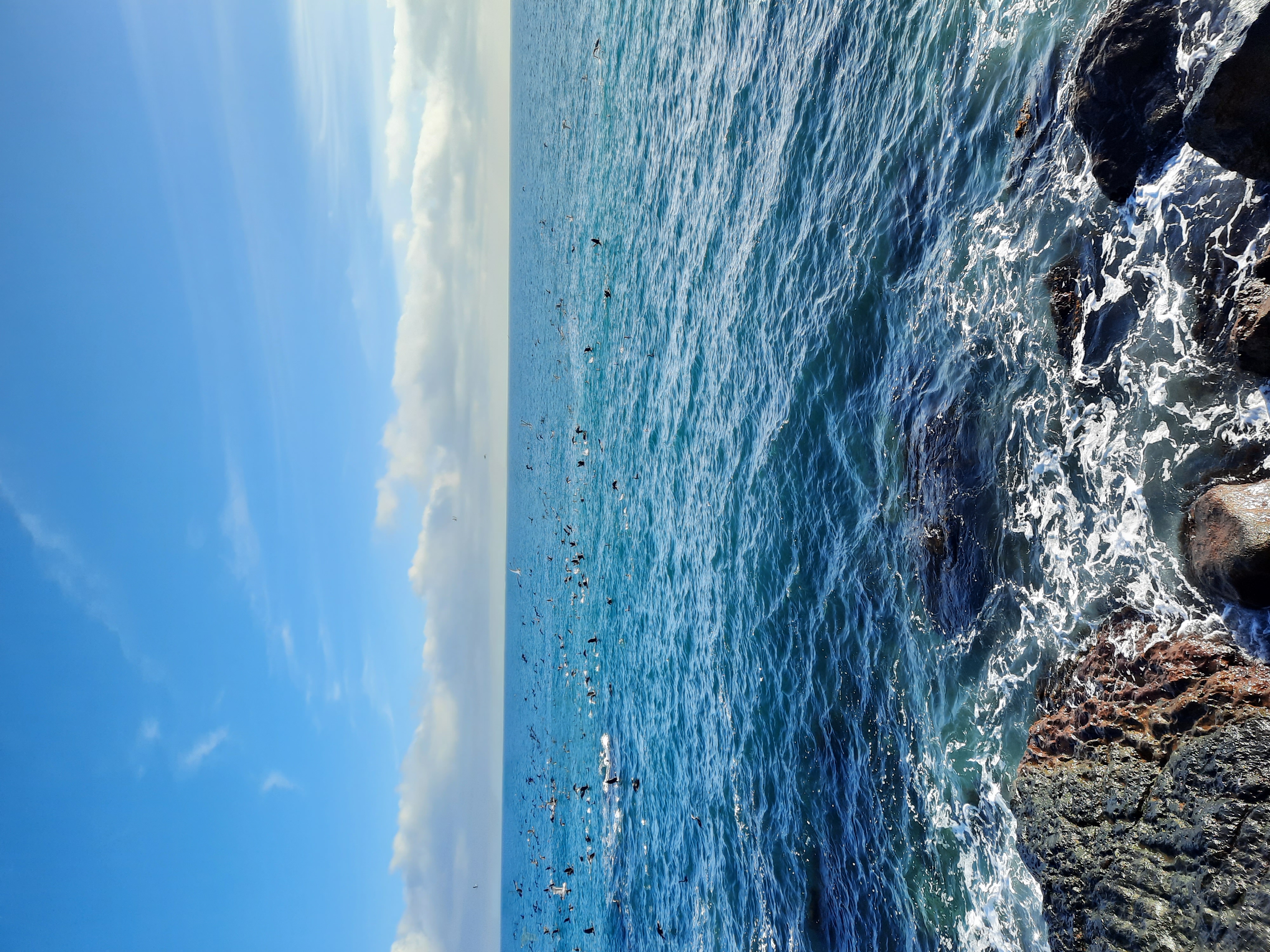 Фото Villa al Mare