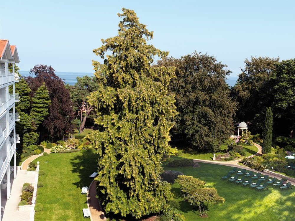 Фото Travel Charme Strandidyll Heringsdorf