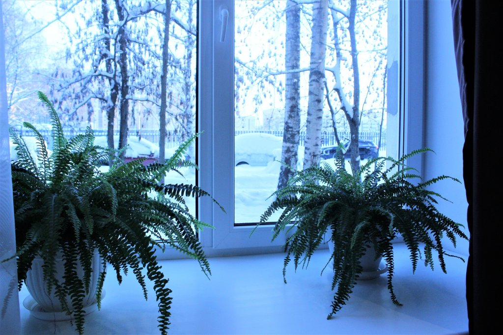 Фото У Политехнической