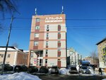 Altai genealogical community (Souza Respublik Street, 36Б), heraldry and genealogy