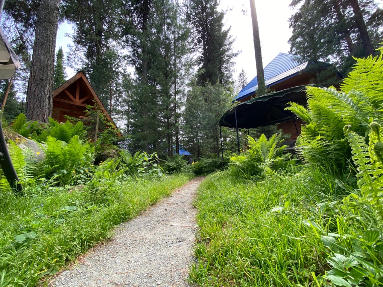 Фото Усадьба Лукоморье