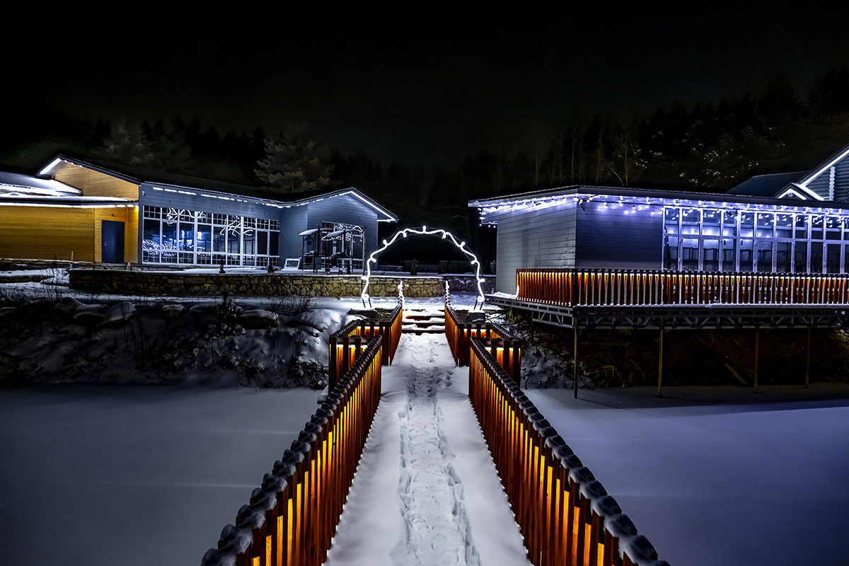 Фото Лесная история