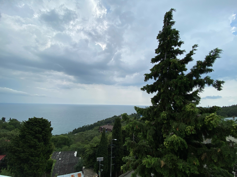 Фото Серсиаль