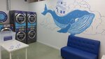 Laundry.com (rabochiy posyolok Tomilino, Yegoryevskoye shosse, 1-y kilometr, 3В), laundry