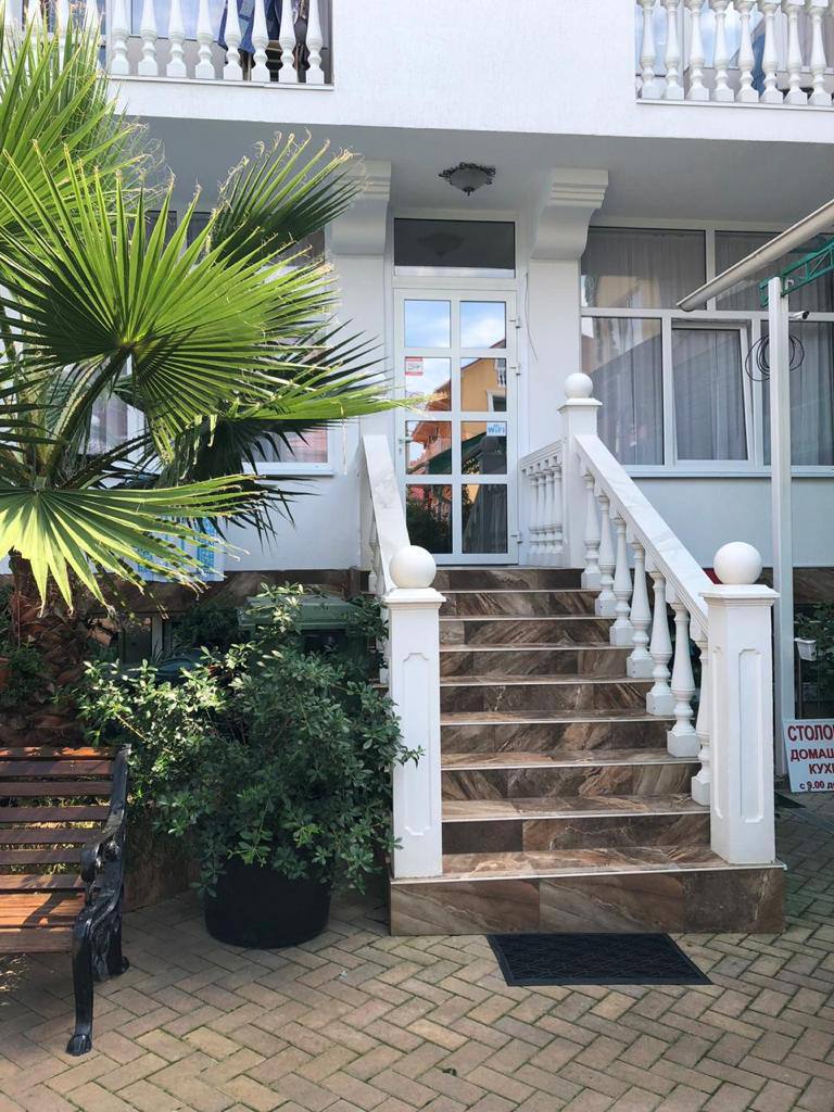 Фото Зелёный попугай