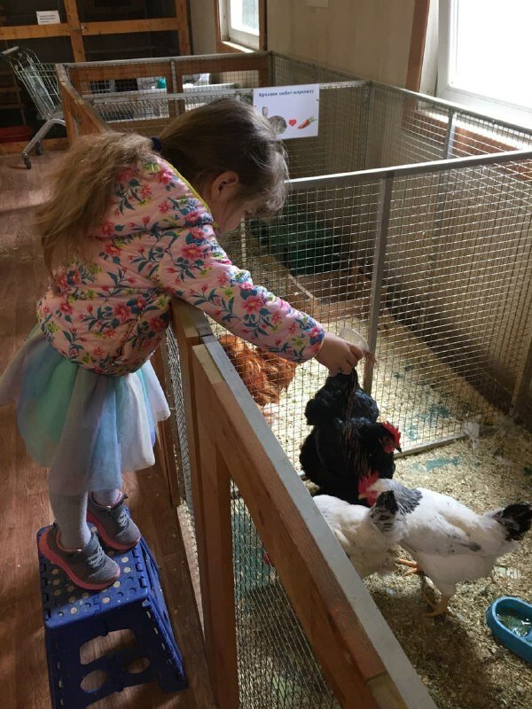 Zoo Минизоопарк, Zhukovskiy, photo