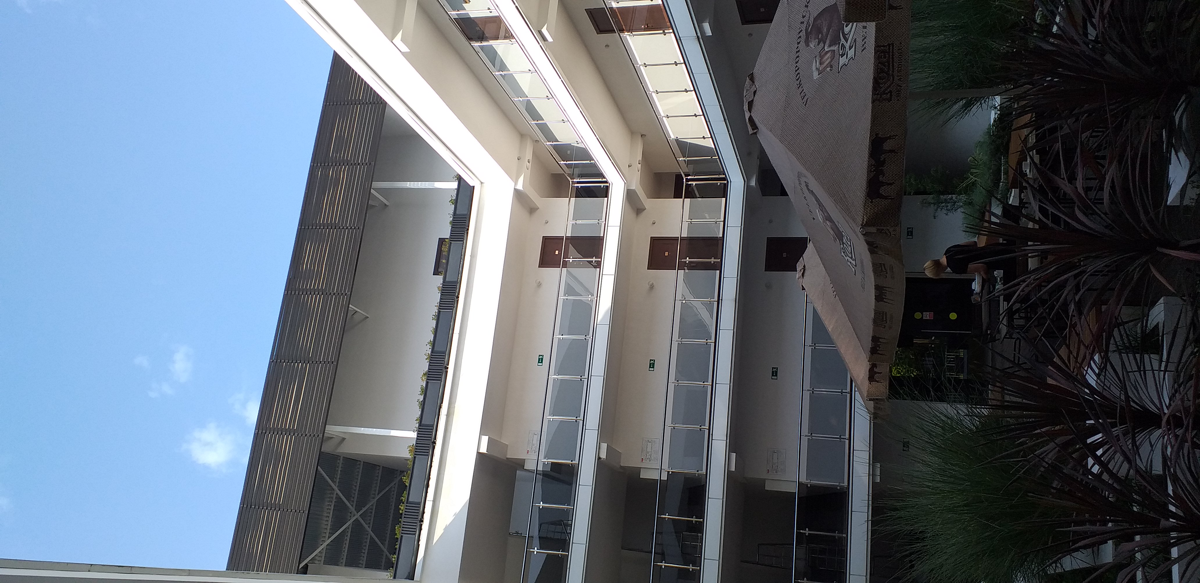 Фото Портобелло