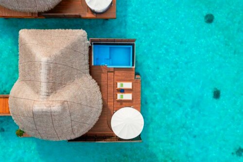 Апартаменты W Maldives