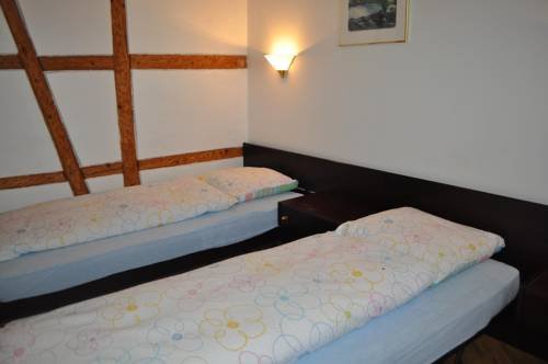 Фото Hotel Schweizerhof Wetzikon GmbH