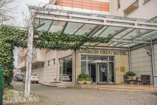 Гостиница Anemon Ordu Hotel в Алтынорду