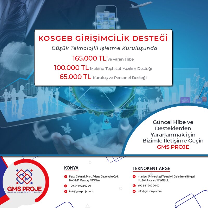 Business consulting Gms Project, Konya, photo