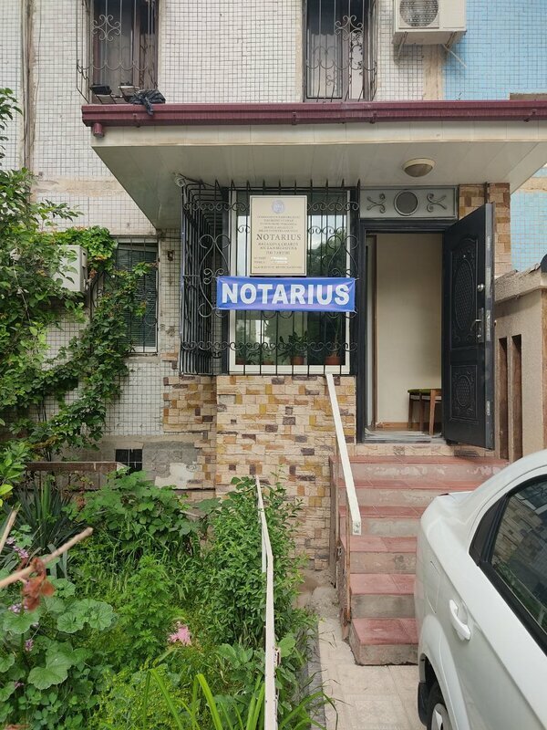 Notariuslar Notorious, Toshkent, foto