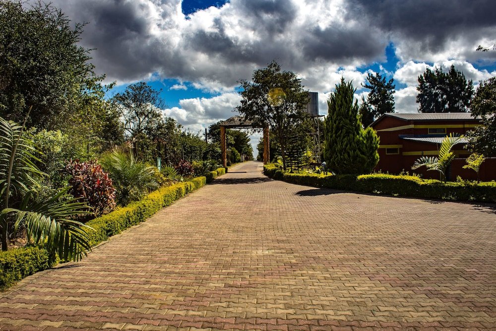 Фото Dream Valley Park & Lodge