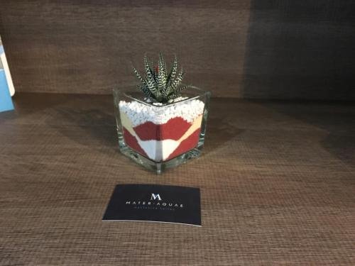 Фото Mater Aquae